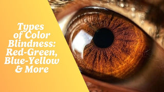 Close-up of a human eye iris representing color vision and color blindness types