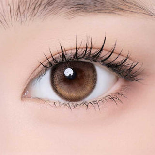 One Pick Becca Azuki color contact lens on top of a dark eye paired with subtle eye makeup and curled wispy eyelashes