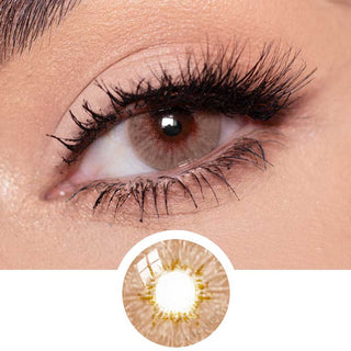Pink Label Dewy Brown color contact lens prescription modelled on a female eye with light eye makeup, above a cutout of the coloured contact lens itself