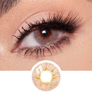 Close-up of Pink Label Dewy Honey brown colored contact lens on dark brown eyes which also includes a close-up of the contact lens