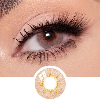Close-up of Pink Label Dewy Honey brown colored contact lens on dark brown eyes which also includes a close-up of the contact lens