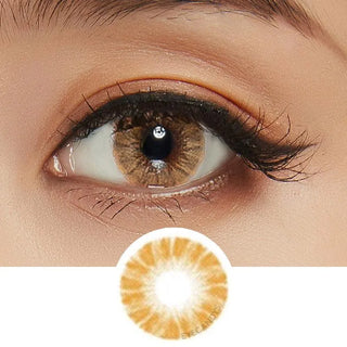 Macro shot of Shade Brown contact lens with intricate spiral dot design, worn on a dark brown Asian eye