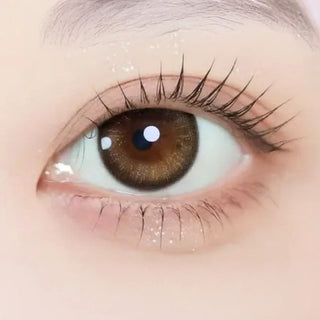 Lilmoon 1-Day Moon Champagne (10pk)