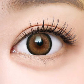 A close-up of a human eye with long lashes wearing i-Sha Dekame Love Me Toffeenut Brown colored contacts; the Japanese i-Sha lens enhances the limbal ring, highlighting fine details of lashes and skin.