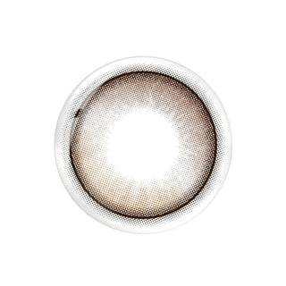 Molak 1-Day Dollish Brown (10pk)