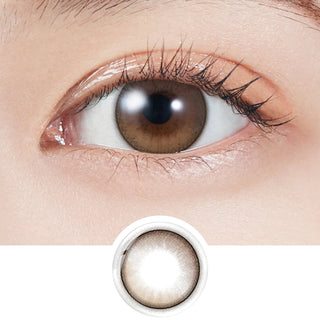 Molak 1-Day Dollish Brown (10pk)