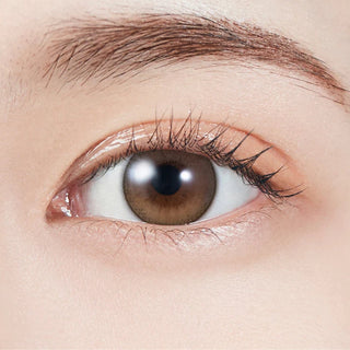 Molak 1-Day Dollish Brown (10pk)