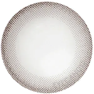 NEO Monthly Monet Grey Color Contact Lens - EyeCandys