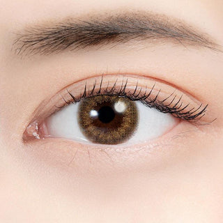N's Collection Hojicha Latte Brown (10pk) - EyeCandys