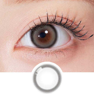 Olala Glee Grey color contact lens on top of a dark eye paired with subtle peach eyeshadow and curled wispy eyelashes, above the contact lens design.