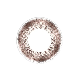EyeCandys Seed Coffret Sweetie Make Brown (10pk) prescription colored contact lens design featuring warm brown pigments, soft pink undertone, dual-tone floral pattern, glossy finish, Korean daily disposable contact lens for natural eye enhancement