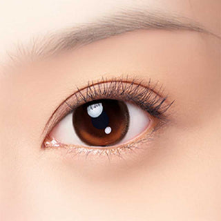 A close-up of a brown eye with long lashes and smooth skin, enhanced by Bausch & Lomb Lacelle Aurora Brown (30pk) daily disposable contacts. The eyebrow is visible above, with lighting highlighting the eye’s glossy appearance.