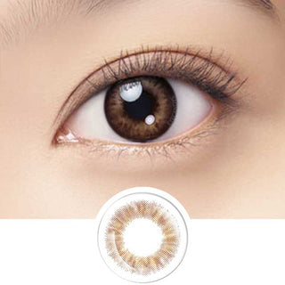 A close-up of a brown eye with long lashes wearing Bausch & Lomb Lacelle Baby Brown (30pk) contact lenses. Below is an enlarged image of the daily disposable lens, highlighting its brown and golden pattern.