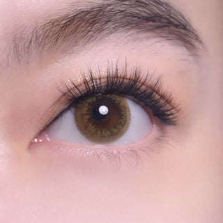 A close-up of a brown iris eye with long lashes, smooth skin, and a well-groomed eyebrow, wearing Bausch & Lomb Lacelle Freedom Honey (30pk) daily disposable contact lenses from Bausch & Lomb.