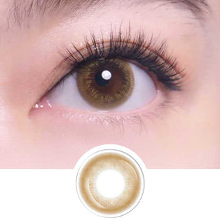 A close-up of a brown eye with long lashes wearing Bausch & Lomb Lacelle Freedom Honey (30pk) contact lenses. Below is a separate image of this daily disposable lens on a white background.
