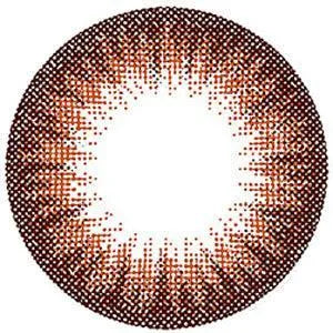 Lucia 1-Day Almond Brown (10pk) Colored Contacts Circle Lenses - EyeCandys