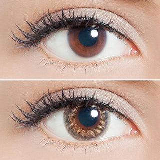 Lilmoon 1-Day Cream Grege (10pk) Color Contact Lens for Dark Eyes - Eyecandys