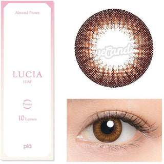 Lucia 1-Day Almond Brown (10pk) Colored Contacts Circle Lenses - EyeCandys