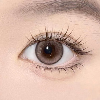 Olala Meow Kitten Beige color contact lens on top of a dark eye paired with subtle eye makeup and curled wispy eyelashes
