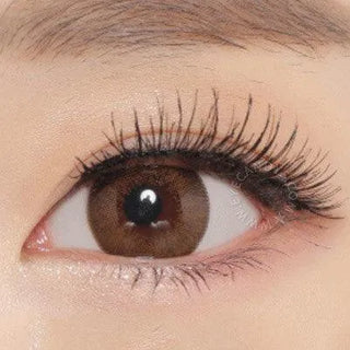 A close-up of a brown eye with long lashes and a groomed brow, enhanced by NEO Vision Extra Dali Brown contact lenses with a soft brown limbal ring, showing clear skin and subtle makeup.