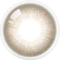 Olola Mellows 1-Day Muse Brown (10pk) (KR) Color Contact Lens - EyeCandys