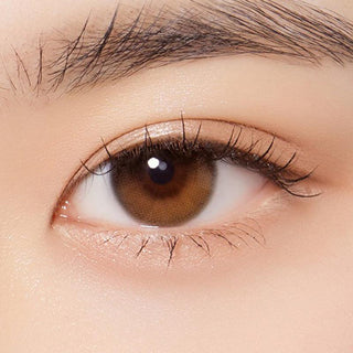 Macro shot of an eye wearing the Olola Daymood 1-Day Brown (10pk) (KR) prescription colour contact lens, showing the multi-colored detail and natural effect on dark brown eyes.