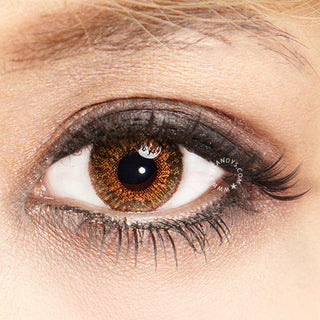 Freshlook One-Day Color Pure Hazel (20pk) (KR) Color Contact Lens - EyeCandys