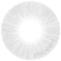 Innovision Fantasy V: 1-tone Forest Grey colored contacts lens for dark eyes - EyeCandys