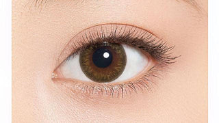 Minette 1-Day Layer Almond Brown (10pk) Colored Contacts Circle Lenses - EyeCandys