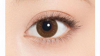 Minette 1-Day Layer Marron Brown (10pk) Colored Contacts Circle Lenses - EyeCandys