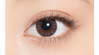 Minette 1-Day Layer Mist Grey (10pk) Colored Contacts Circle Lenses - EyeCandys