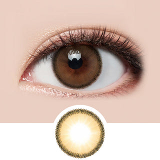 Ginger Brown colored contact lens from LensMe Holoris on a light background
