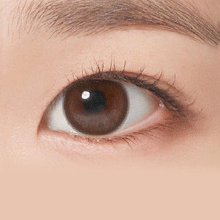 NEO Neoism Dali Choco (50pk) Colored Contacts Circle Lenses - EyeCandys