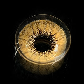 Macro shot of the desire toffee brown prescription colored contact lens on a dark background, showing the detailed pattern of the contact lens design