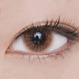 Close-up shot of a model wearing Blenz Chic Grey blended colored contact lens in one eye that is naturally dark-brown, paired with minimal Korean-inspired eye makeup.