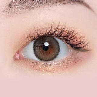 Close-up view of Canna Roze Daily 1-Day Nude Brown (10pk) Natural Color Contact Lens dailies for Dark Eyes, above a cutout of the lens design showing the pixel detail.