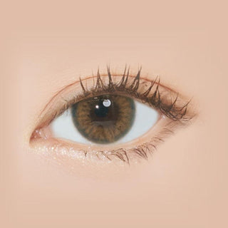 Macro shot of an eye wearing the i-Sha Holy Holic Hazel prescription colour contact lens, showing the multi-colored detail and natural effect on dark brown eyes.