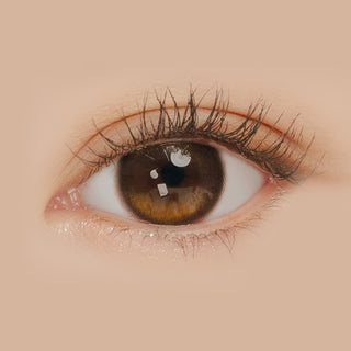 Macro shot of an eye wearing the i-Sha Oriana Edge Plus Shade Brown prescription colour contact lens, showing the multi-colored detail and natural effect on dark brown eyes.