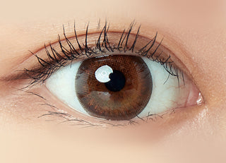 Freshlook Illuminate 1-Day (30pk) Light Brown Color Contact Lens - EyeCandys