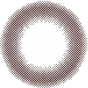 Feliamo 1-Day Sheer Brown (10pk) Colored Contacts Circle Lenses - EyeCandys