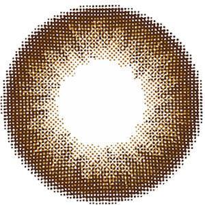 Feliamo 1-Day Espresso (10pk) Colored Contacts Circle Lenses - EyeCandys