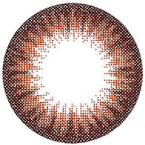 Lucia 1-Day Almond Brown (10pk) Colored Contacts Circle Lenses - EyeCandys