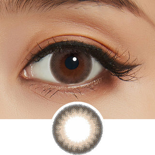 Feliamo 1-Day Cappuccino (10pk) Colored Contacts Circle Lenses - EyeCandys