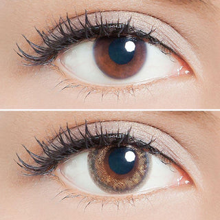 Lilmoon 1-Day Cream Grege (10pk) Color Contact Lens for Dark Eyes - Eyecandys