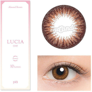 Lucia 1-Day Almond Brown (10pk) Colored Contacts Circle Lenses - EyeCandys