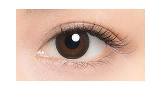 Lucia 1-Day Natural Black (10pk) Colored Contacts Circle Lenses - EyeCandys