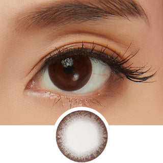 NEO Monthly Dali Chocolate Brown Colored Contacts Circle Lenses - EyeCandys