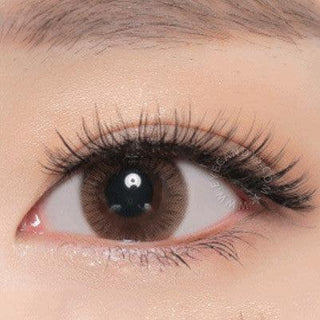 NEO Monet Brown (Custom Toric) Color Contacts for Astigmatism - EyeCandys