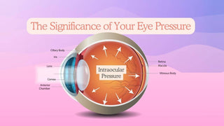 different parts of the eye with intraocular pressuse