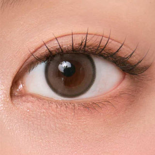 A close-up of a brown eye with long lashes, enhanced by Chuu Aery Rose Lucid Grey (10pk) daily disposable colored contacts from Chuu. The smooth, light-toned skin and lighting highlight the lenses' subtle elegance.